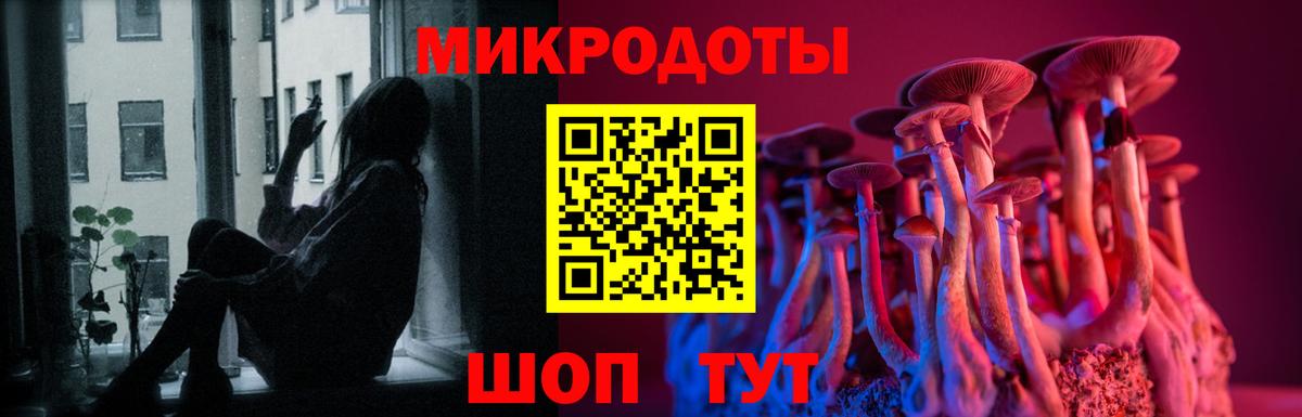 Галлюциногенные грибы Magic Shrooms Тольятти